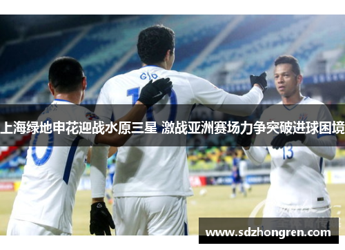 上海绿地申花迎战水原三星 激战亚洲赛场力争突破进球困境