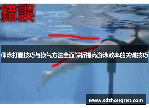 仰泳打腿技巧与换气方法全面解析提高游泳效率的关键技巧