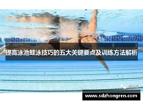 提高泳池蛙泳技巧的五大关键要点及训练方法解析